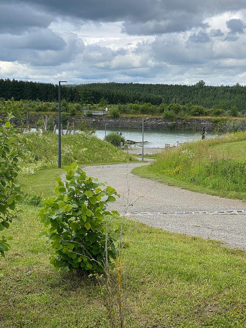 Ausblick auf Pflanzen und Wasser an einem Weg