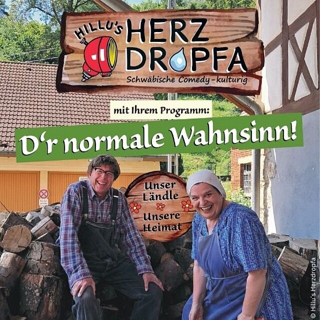 Hillu´s D´r normale Wahnsinn 550x550.jpg